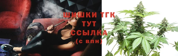 прущие грибы Абдулино