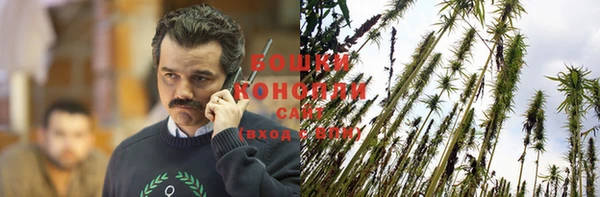 прущие грибы Абдулино