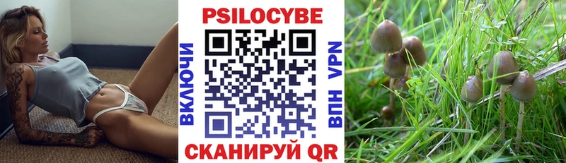 Галлюциногенные грибы прущие грибы Дрезна